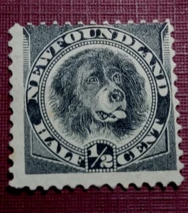 Terranova 1894 Sc#58 perro negro, 1/2 centavo como nuevo original (1508-1) - Imagen 1 de 2