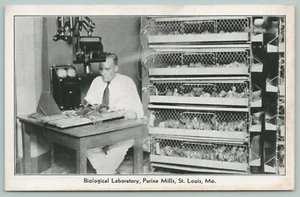 St Louis MO~Purina Mills Biological Laboratory~HC Schaefer Xrays Bird~1950 B&W - Picture 1 of 2
