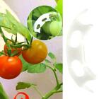 100 Tomatenpflanzen-Rankenklammern, starke Obstpflanzung,