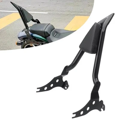 Respaldo trasero de pasajero desmontable barra Sissy para Harley Breakout FXSB 2013-2023 Foto 1 de 4