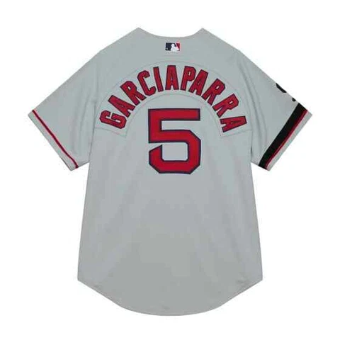 Boston Red Sox Nomar Garciaparra Mitchell & Ness Gray 2002 MLB Authentic Jersey Cover
