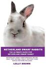 Lolly Brown Netherland Dwarf Rabbits (Taschenbuch)