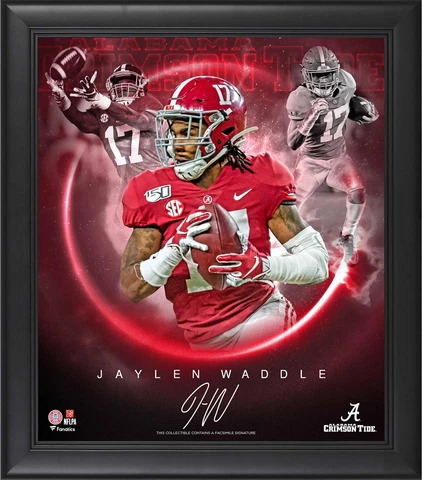 Jaylen Waddle Framed 15x17 Stars of the Game Collage nature Cover