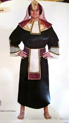 Disfraz Egipcio Adulto Faraón Halloween Vestido Elegante Nuevo en Paquete Completo 4 Piezas L Foto 1 de 3