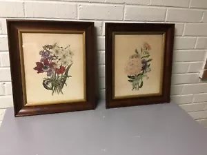 VINTAGE ANTIKES PAAR MASSIVHOLZ TIEF GERAHMTE BOTANISCHE DRUCKE WUNDERSCHÖN 15 X 13 ZOLL - Bild 1 von 12