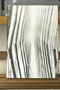 Harold Null, Riva Di Po 2 (1985) Hardback - Foto 1 di 8