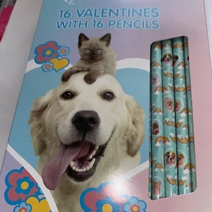 16 Bleistifte Rachael Hale Valentinstag Karten Kätzchen Hund Regenbogen Katze Kinder Neu - Bild 1 von 5