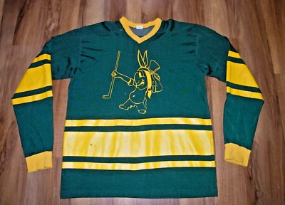 VINTAGE GAME USED MINOR LEAGUE DURENE DUREEN CHAMPION BLUE STRIPE HOCKEY JERSEY - Image 1 of 4