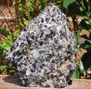 Large 1.82 KG Rough & Raw Black Tourmaline In Quartz With Base Cut Natural - Picture 1 of 10