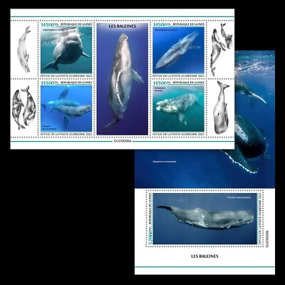 Киты марки 2023 Гвинея M/S + S/S как новые без наклеек и следов - Изображение 1 из 3