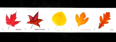 VIBRANT LEAVES #5971-5975 US POSTCARD RATE PN5 FOREVER STAMPS P111111 COIL STRIP - Image 1 of 3
