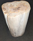 Petrified Wood Pedestal / Occasional Table / Side Table