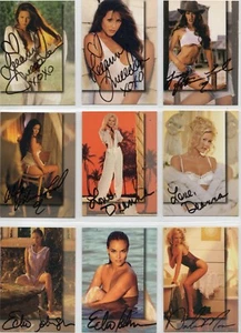 ANGELS SIGNATURE SERIES, trading card lot 18/20, promo and postcard (1997) - Picture 1 of 6