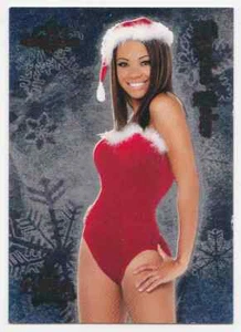 2005 Bench Warmer Holiday Foil Crystal Colar #9 - Zdjęcie 1 z 2