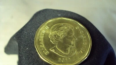 2022 coin in very good shape near mint and was brought out . - Image 1 of 2