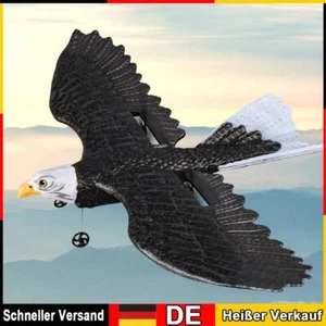 2,4-G-Flugzeug, 150 m Kontrollentfernung, Flugzeit 12 Minuten, Doppelmotor für J - Bild 1 von 15