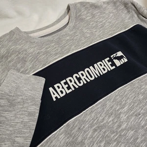 Abercrombie Kids 15/16 Spellout Pullover With Moose Blue and Gray - Picture 1 of 8