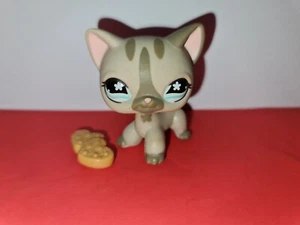 Littlest Pet Shop Gray Siamese Shorthair Cat Striped Face Flower Eyes #468 LPS - Bild 1 von 7