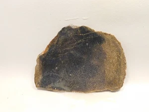 Dinosaur Bone Fossilized Unpolished Lapidary Stone Slab #O2 - Picture 1 of 12