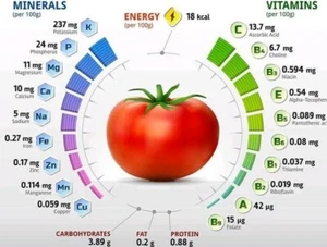 5+ graines de tomate rare True Colors tomato seeds méth.bio - Imagen 1 de 1