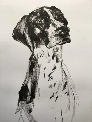 Original signed Ink painting drawing sketch of German Pointer Gun dog A3 approx. - Image 1 of 4
