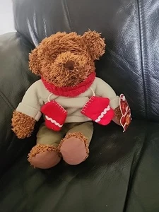 "Hallmark 14"" Invierno Oso de Peluche Peluche con Bufanda Roja y Mitones con Camisa Verde" - Imagen 1 de 6