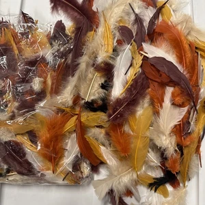 Gefärbte Federn Bastelprojekte - Fliegenfischen - Schmuck Orange Bordo Rot Creme - Bild 1 von 4