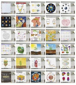 Educational Pattern Shower Curtain Fabric Decor Set with Hooks 4 Sizes - Picture 1 of 30