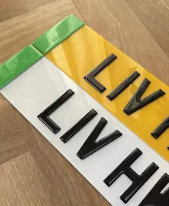 3D Gel Nummernschilder mit grünem Seitenabzeichen für Elektrofahrzeuge Tesla - Bild 1 von 1