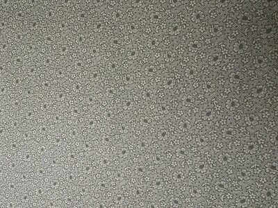 Tela de edredón Lodge & Lakeside de Thimbleberries Club (2008) 6921-1 verde floral Foto 1 de 4