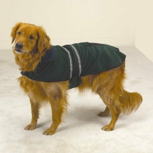 ebay dog jackets