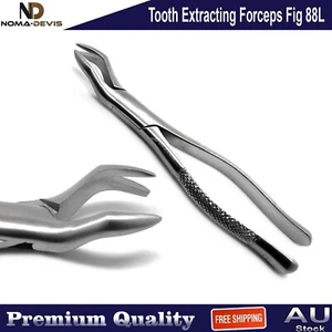 Tooth Extraction Forceps 88L Molar Teeth Removal Extracting Oral Surgery Tools - Picture 1 of 5