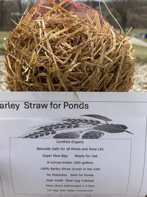 8 oz Organic Barley Straw Bale Pesticide Free Treats 1000 Gallons Pond - Image 1 of 4
