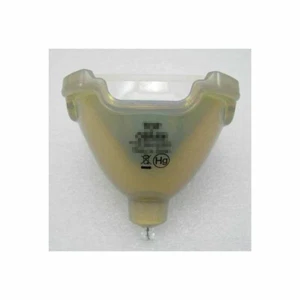 Compatibile con lampadina proiettore adatta per PLC-XF46 / PLC-XF46E / PLC-XF46N - Foto 1 di 1