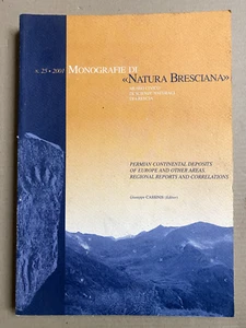 Monografe di natura bresciana permian continental deposits of Europe - Picture 1 of 1