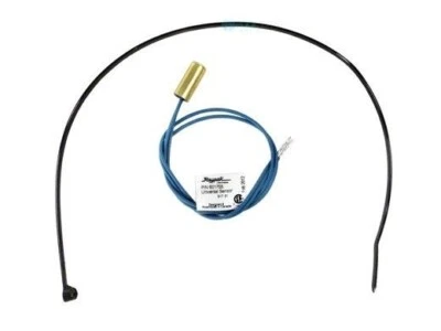 Sensor de temperatura del agua Raypak (010787F) 10K Foto 1 de 4