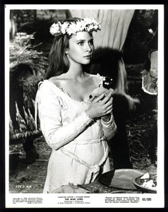 Foto studio vintage BELLA ATTRICE ROSMARINO FORSYTH anni 60 - Foto 1 di 1