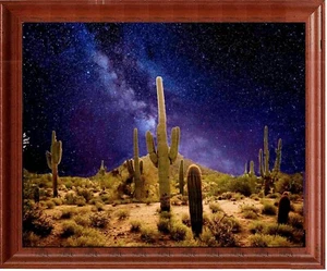 11 x 14 Framed Arizona Desert Cactus Milky Way Stars background stunning photo - Picture 1 of 1