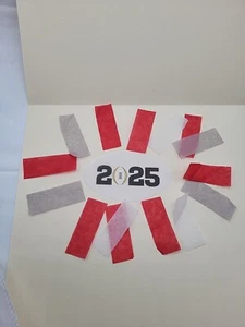 2025 Ohio State Buckeyes Campionato Nazionale Confetti Campo Celebrazione USA - Foto 1 di 3