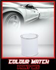 Quality Paint Match Pro - Touch Up, Aerosol, Spray - For Toyota Grey 102