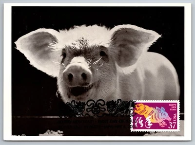 3895l Chinese Lunar New Year Boar FDC Maxi Card - Image 1 of 2