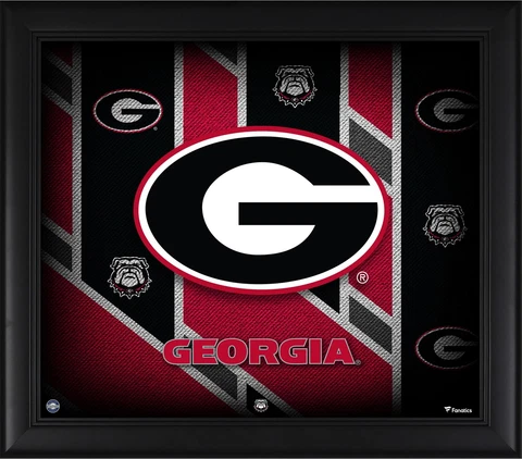 Georgia Bulldogs Framed 15" x 17" Team Threads Collage Cover