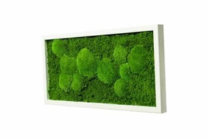 Moosbild Wandbild echtes Moos Fifty Fifty Design Geschenkideen Oster Dekoration - Bild 1 von 2