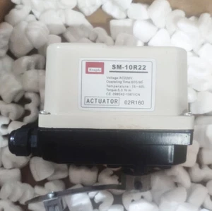 Actuador eléctrico Hengda SM-10R22 - NUEVO - Imagen 1 de 6
