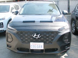 Colgan Front End Mask Bra 2pc. Fits Hyundai Santa Fe SE SEL 19-20 W/O License - Picture 1 of 1