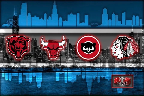 CHICAGO SPORTS TEAMS Chicago Cubs Bulls Bears Blackhawks  24x36in Free Shipping Cover