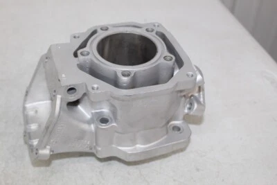 Cilindro motor kart Rotax Max FR 125 223994 Junior Mini Micro Foto 1 de 4