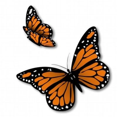 AK WALL ART Monarch Butterflies Set of 2 Car Vinyl Sticker - SELECT SIZE