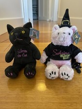 RARE Sabrina The Teenage Witch Dart Flipcards 1999 Bear and Salem Limited 2000