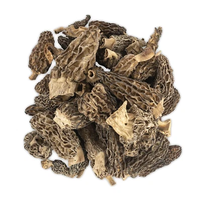 Dried Morel Mushrooms (Morchella Conica) Gourmet 4 oz / 0.25 lb Premium Morels - Image 1 of 4